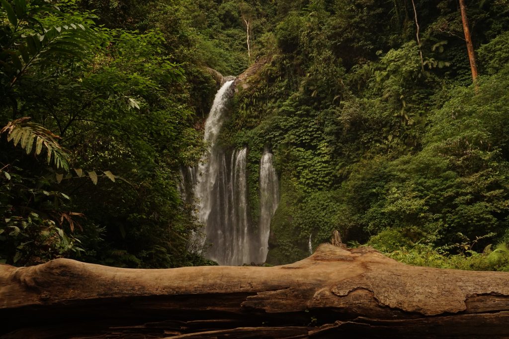 Wisata Alam Air Terjun Sendang Gile Lombok